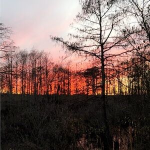 Meet your Posher, Rylie